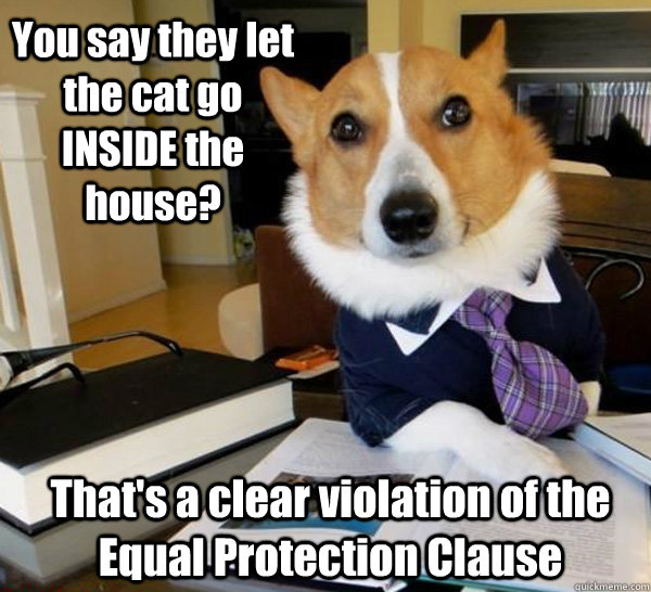 You say they let the cat go INSIDE the house? That's a clear violation of the Equal Protection Clause  Lawyer Dog