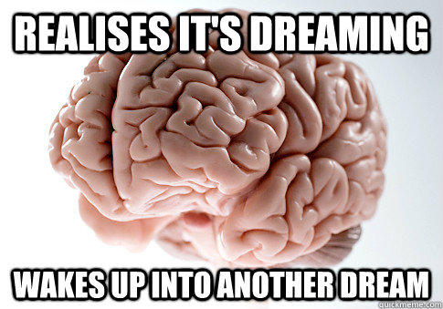 Realises it's dreaming Wakes up into another dream  Scumbag Brain