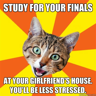 Study for your finals at your girlfriend's house. You'll be less stressed.  Bad Advice Cat