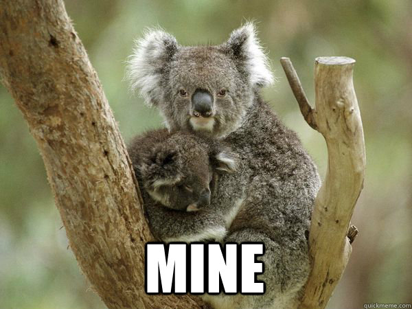  MINE  Clingy Koala