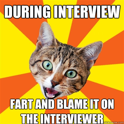 During interview fart and blame it on the interviewer  Bad Advice Cat