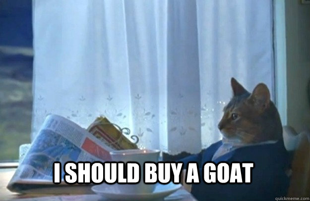 I should buy a goat  Sophisticated Cat