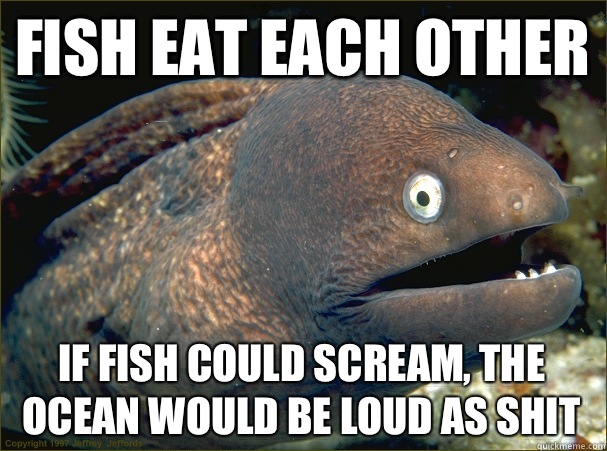 Fish eat each other If fish could scream, the ocean would be loud as shit - Fish eat each other If fish could scream, the ocean would be loud as shit  Bad Joke Eel