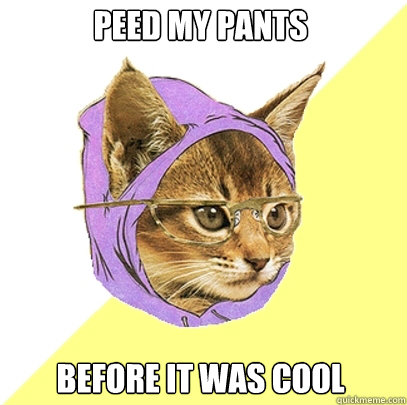 Peed my pants before it was cool - Peed my pants before it was cool  Hipster Kitty