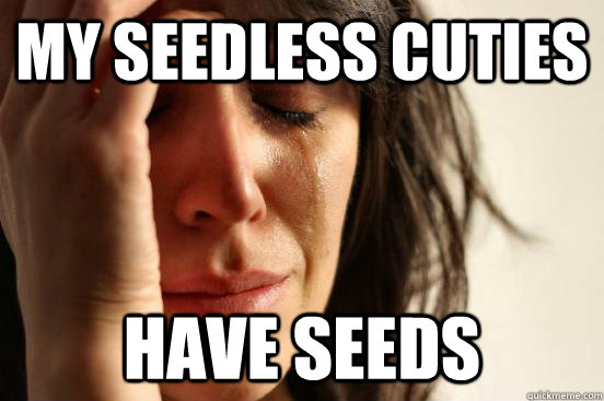 My seedless cuties have seeds  First World Problems