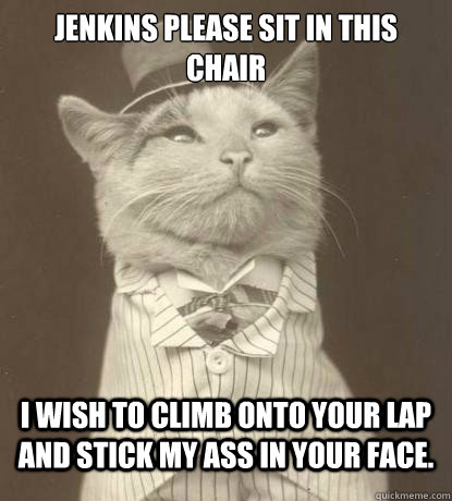 Jenkins please sit in this chair I wish to climb onto your lap and stick my ass in your face.   Aristocat