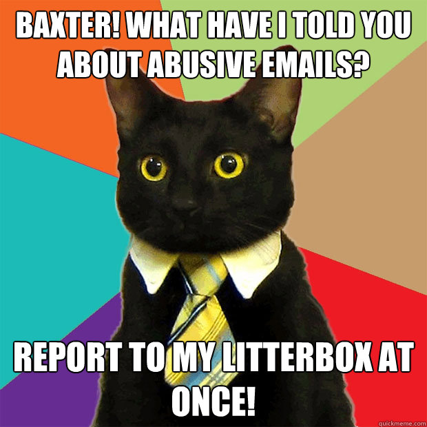 Baxter! What have i told you about abusive emails? Report to my litterbox at once!  Business Cat