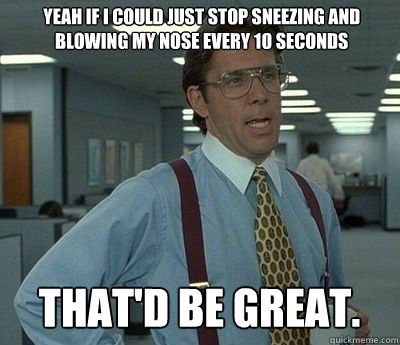 Yeah if I could just stop sneezing and blowing my nose every 10 seconds That'd be great.  Bill lumberg