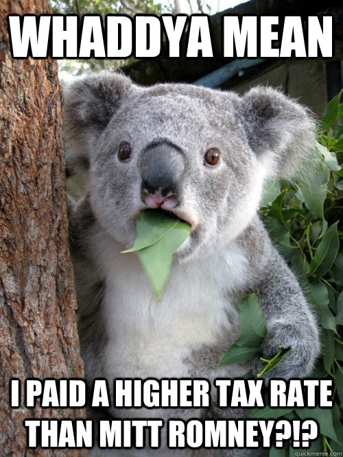 Whaddya mean I paid a higher tax rate than mitt romney?!?  koala bear