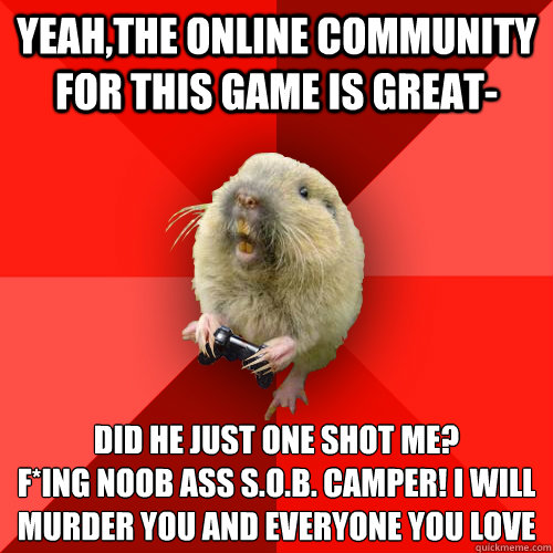 yeah,the online community for this game is great- did he just one shot me?
F*inG NOOB ASS S.O.B. CAMPER! I WILL MURDER YOU AND EVERYONE YOU LOVE   Gaming Gopher