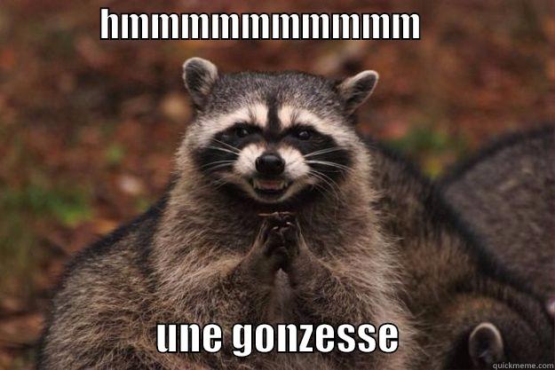 mec en chien -               HMMMMMMMMMM                                         UNE GONZESSE                    Evil Plotting Raccoon