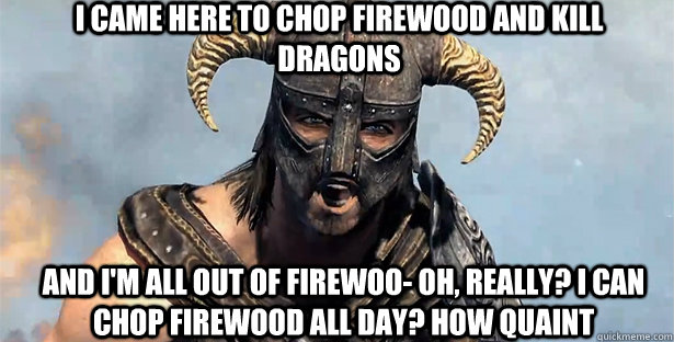 i came here to chop firewood and kill dragons and i'm all out of firewoo- oh, really? i can chop firewood all day? how quaint  skyrim