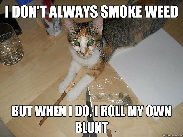 I don't always smoke weed But when I do, I roll my own blunt  