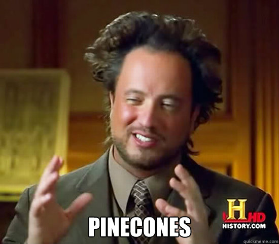  
Pinecones  Ancient Aliens