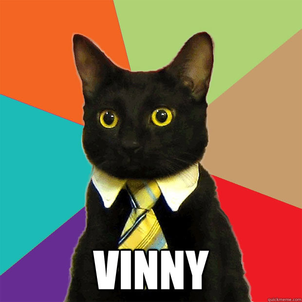  VINNY  Business Cat