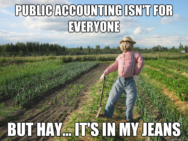 Public Accounting isn't for everyone But Hay... it's in my jeans Caption 3 goes here Caption 4 goes here  Scarecrow