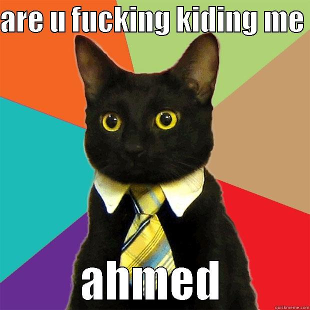 ARE U FUCKING KIDING ME  AHMED Business Cat