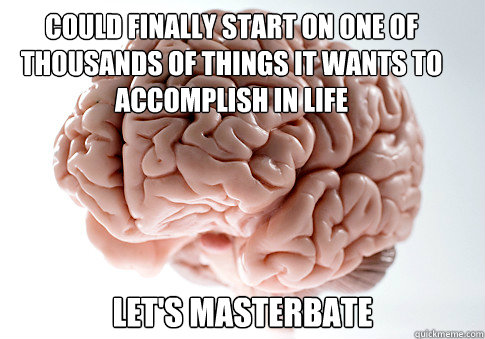 could finally start on one of thousands of things it wants to accomplish in life Let's masterbate  Scumbag Brain