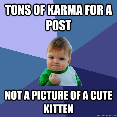 tons of karma for a post not a picture of a cute kitten  Success Kid