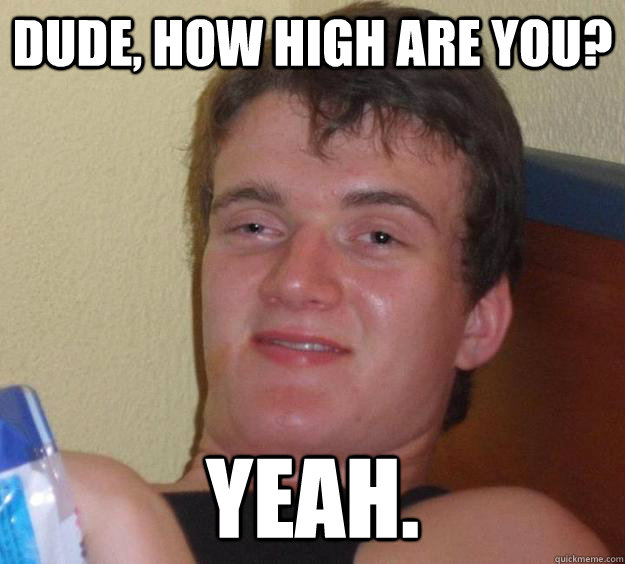 Dude, how high are you? yeah. - Dude, how high are you? yeah.  10 Guy