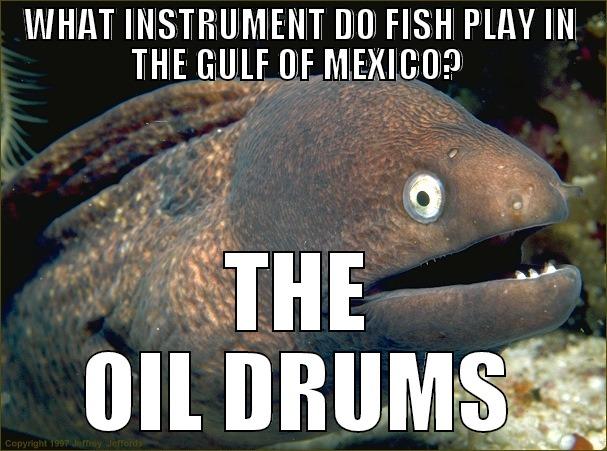 LELOK :3 - WHAT INSTRUMENT DO FISH PLAY IN THE GULF OF MEXICO?  THE OIL DRUMS Bad Joke Eel