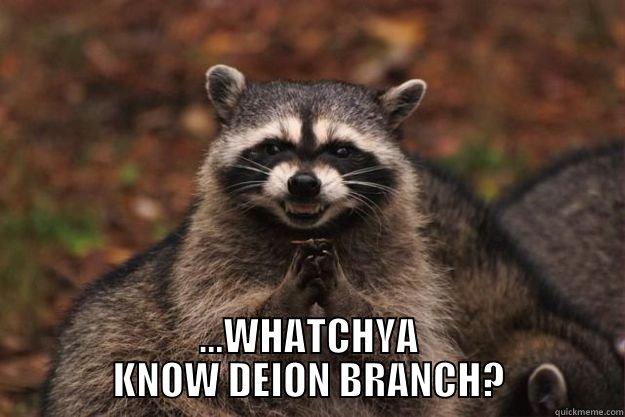  ...WHATCHYA KNOW DEION BRANCH? Evil Plotting Raccoon