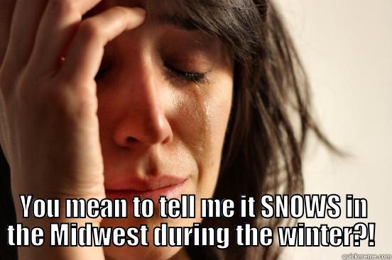  YOU MEAN TO TELL ME IT SNOWS IN THE MIDWEST DURING THE WINTER?!  First World Problems