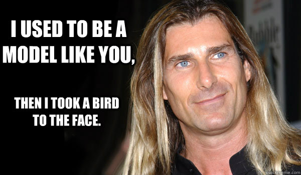 I used to be a model like you, then I took a bird to the face. - I used to be a model like you, then I took a bird to the face.  Skyrimmed