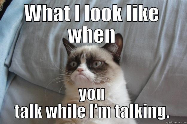 WHAT I LOOK LIKE WHEN YOU TALK WHILE I'M TALKING. Grumpy Cat