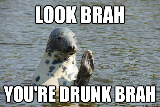 Look Brah You're Drunk Brah  Party Seal