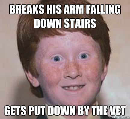 breaks his arm falling down stairs gets put down by the vet  Over Confident Ginger