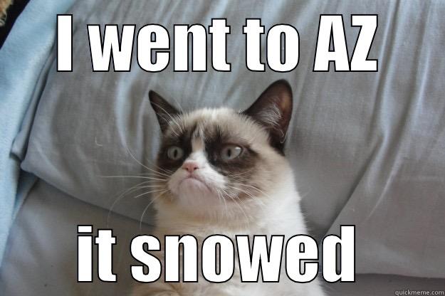 I WENT TO AZ IT SNOWED Grumpy Cat