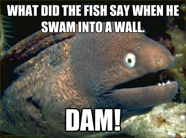 What did the fish say when he swam into a wall. Dam!  Bad Joke Eel