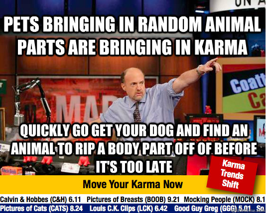 pets bringing in random animal parts are bringing in karma quickly go get your dog and find an animal to rip a body part off of before it's too late  Mad Karma with Jim Cramer