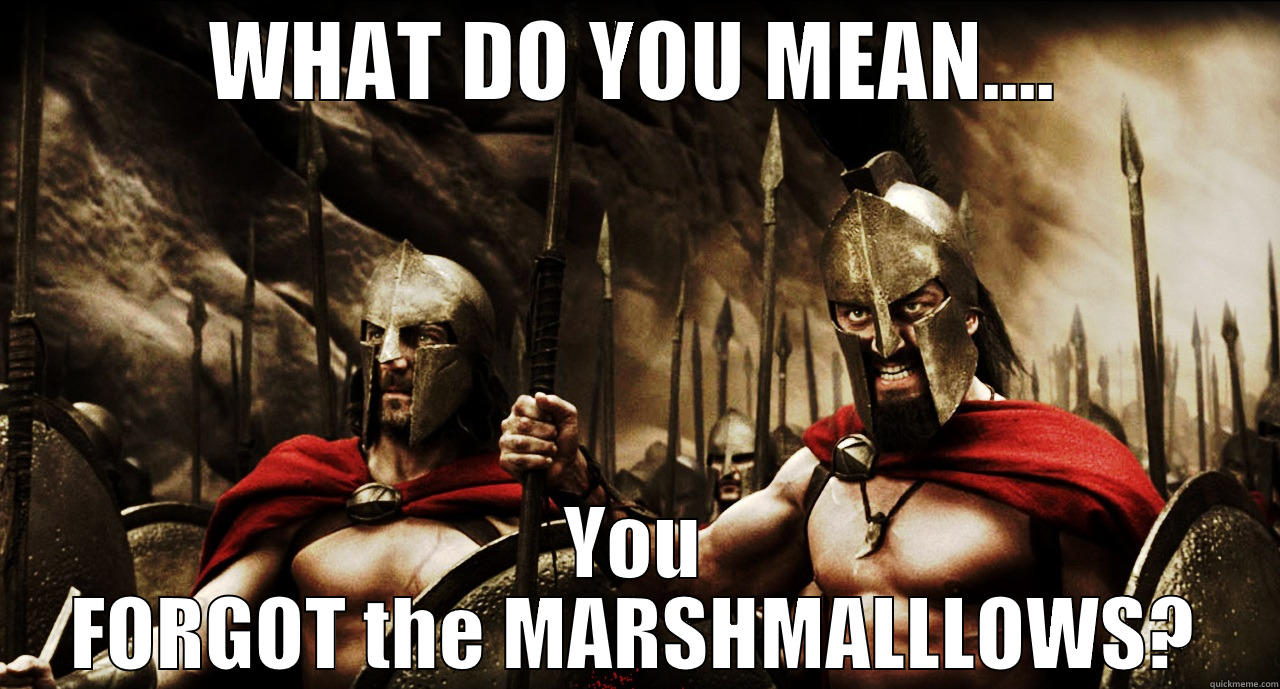 What, no marshmallows? - WHAT DO YOU MEAN.... YOU FORGOT THE MARSHMALLLOWS? Misc