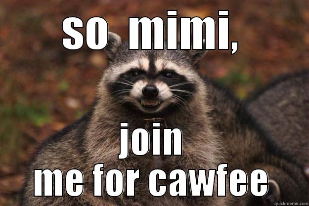 SO  MIMI, JOIN ME FOR CAWFEE Evil Plotting Raccoon