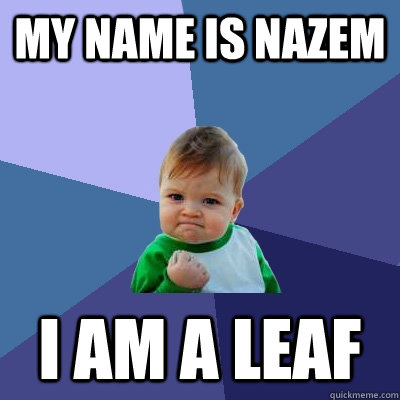 My name is nazem i am a leaf  Success Kid