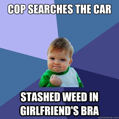 Cop searches the car stashed weed in girlfriend's bra - Cop searches the car stashed weed in girlfriend's bra  Success Kid