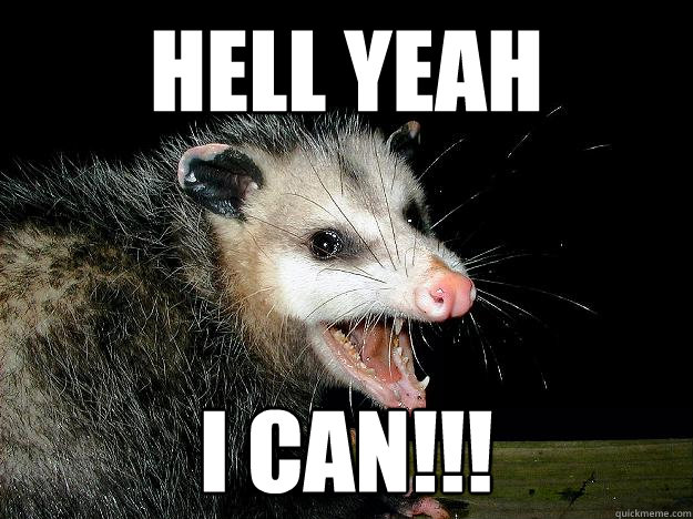 Hell yeah i can!!! - Hell yeah i can!!!  Roman Possum