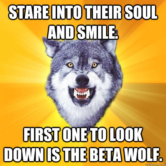 STARE INTO THEIR SOUL AND SMILE. FIRST ONE TO LOOK DOWN IS THE BETA WOLF.  Courage Wolf