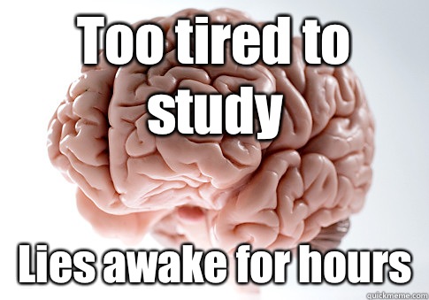 Too tired to study Lies awake for hours  - Too tired to study Lies awake for hours   Scumbag Brain