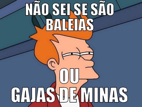 NÃO SEI SE SÃO BALEIAS OU GAJAS DE MINAS Futurama Fry