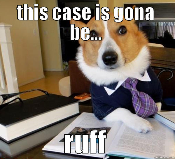 THIS CASE IS GONA BE... RUFF Lawyer Dog