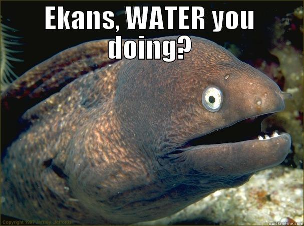 Out of context meme for a friend - EKANS, WATER YOU DOING?  Bad Joke Eel