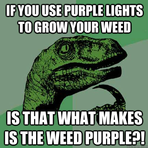 If you use purple lights to grow your weed Is that what makes is the weed purple?!  Philosoraptor