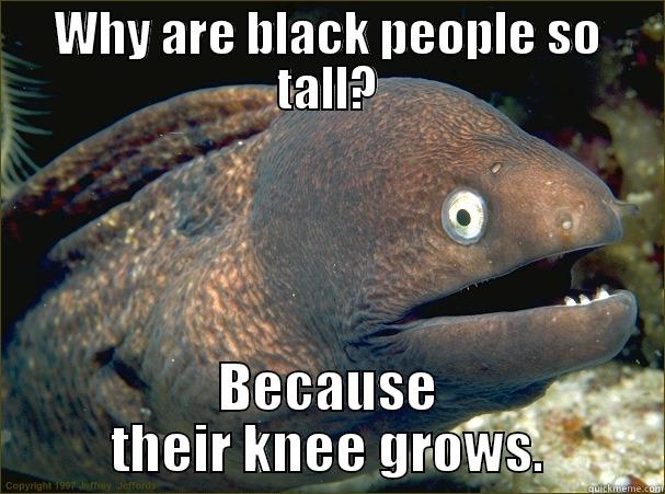 WHY ARE BLACK PEOPLE SO TALL? BECAUSE THEIR KNEE GROWS. Bad Joke Eel