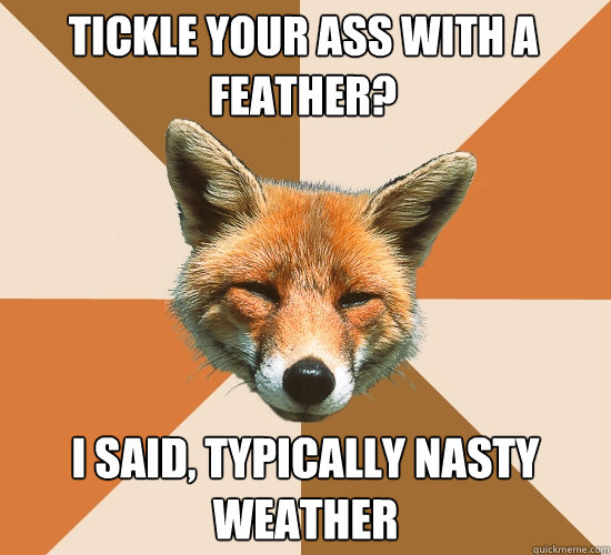 Tickle Your Ass With A Feather?
 I Said, typically nasty weather  Condescending Fox