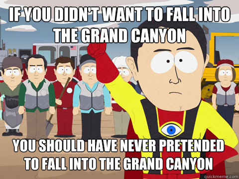 if you didn't want to fall into the grand canyon you should have never pretended to fall into the grand canyon - if you didn't want to fall into the grand canyon you should have never pretended to fall into the grand canyon  Captain Hindsight