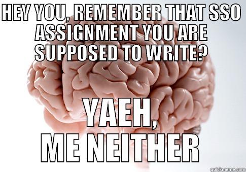 Scumbag brain - HEY YOU, REMEMBER THAT SSO ASSIGNMENT YOU ARE SUPPOSED TO WRITE? YAEH, ME NEITHER Scumbag Brain