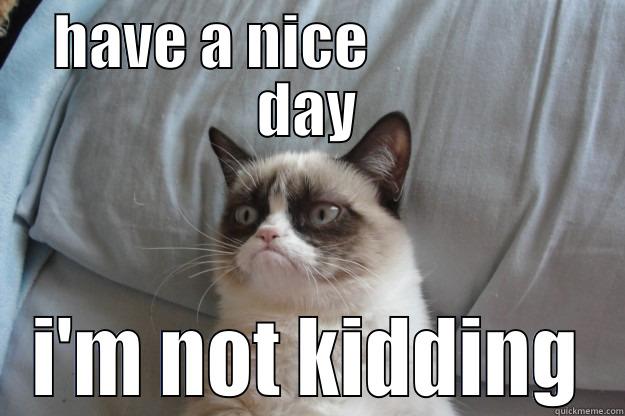 HAVE A NICE                 DAY I'M NOT KIDDING Grumpy Cat